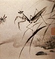 Shitao estudios de insectos manto 1707 tinta china antigua
